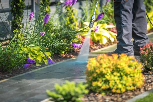 Trusted Pleasant View, UT  Pressure Washing Services Experts